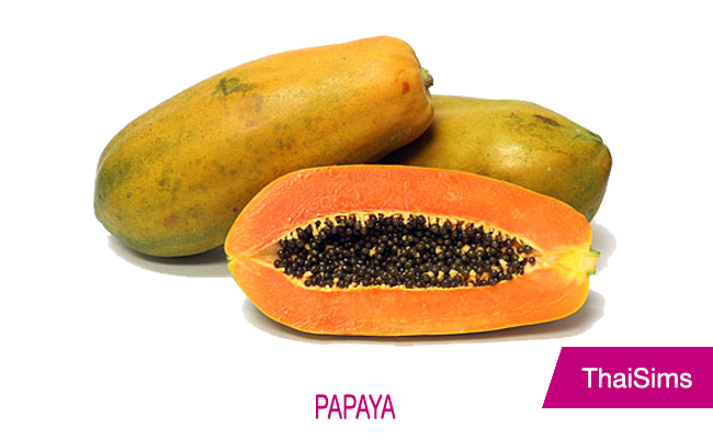 papaya Thailand ThaiSims